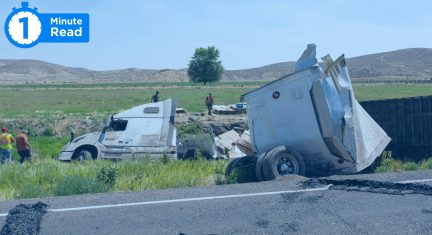 How fleet management systems can help with on-road accidents?