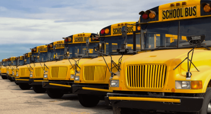 Safety features of a school bus