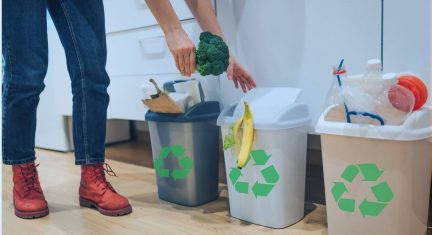 Features to Look for in Domestic Waste Management Software