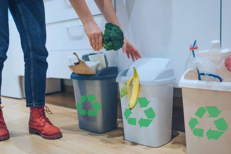 Features to Look for in Domestic Waste Management Software