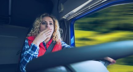 What is Driver Drowsiness Monitoring System?