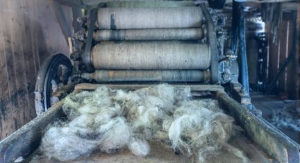 Managing Textile Waste Collection System