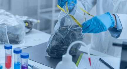 How Can Biomedical Waste Management Solutions Help Reduce Waste?