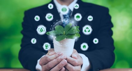 Ultimate Guide to Sustainable Solutions for Waste Management